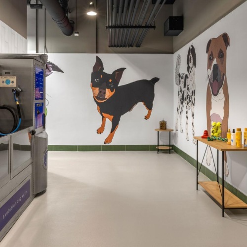 We love our furry friends a room with a wall of art